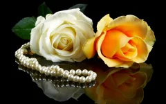 thumb-1920-333205.webp