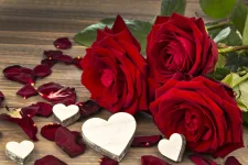 thumb-1920-573416.webp