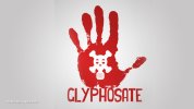 glyphosate.jpg