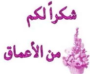 3669.webp