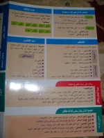 7.webp