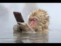 hqdefault (2).webp hqdefault (2).webp