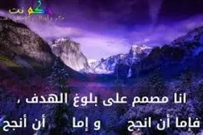 images (12).webp