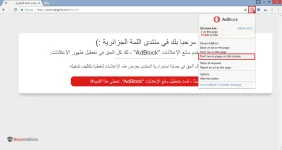 BlockAbBlock2.webp