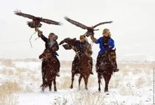 golden_eagle_hunting_in_kazakhstan_08.webp