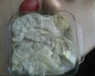 Picture portabl 100.webp