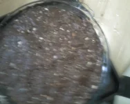 Picture portabl 092.webp