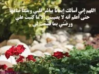 images (3).webp
