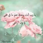 images (7).webp