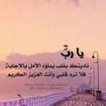 images (8).webp