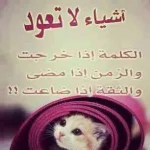 1574815626a5886-a-nw-p.webp