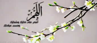 7.webp