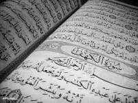 تالعغبلعان.webp