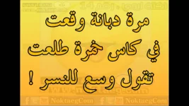 1525547336416.webp