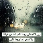 51b97b93bbf8f90-a-nw-p.webp