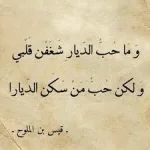 1525691568636.webp