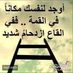 téléchargement (14).webp