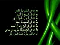 1526039858768.webp