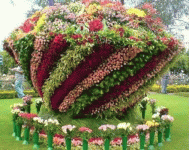 زهور.gif