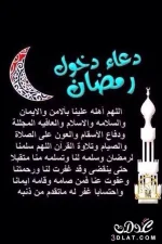 1526425135184.webp