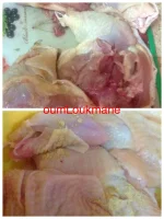 IMG_4050.webp IMG_4050.webp