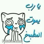 13794589427671.webp