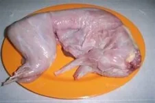 1527962143344.webp