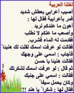 1529508832468.webp