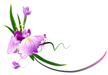 44.webp
