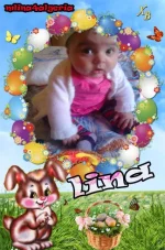 bunnywithbutterflies.webp