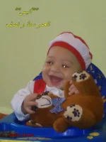 anis (14).webp