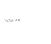 FB_IMG_15138900714135376.webp