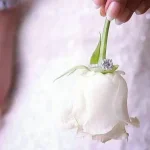 images (1).webp