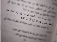 1530212306231.webp