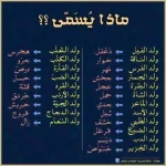 47f2de510f4f1457ce2d3bc3bb28fd9a.webp