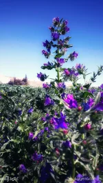 20180724_154720.webp