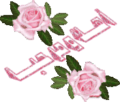 ورود.gif