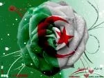 620525ec32.webp