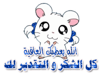 6464564.gif
