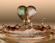 28164773686000611820.webp