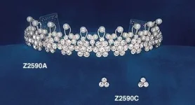 dsZ2590C.webp