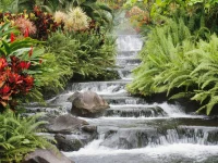 GoogleDesktopPhotosPluginWallpaper.webp