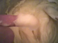 Photos-0020.webp Photos-0020.webp