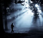 3121920134_c6bd700844.webp