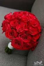 images (58).webp