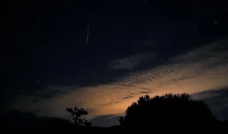 97D33B46-BE93-4290-BCA4-186E65E69861.webp