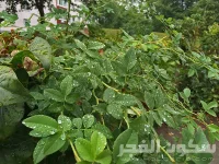 IMG_0728.webp