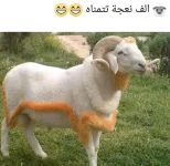 446789.webp