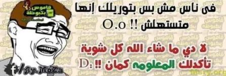 349994198751058.webp