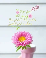 IMG_20180921_124034_786.webp